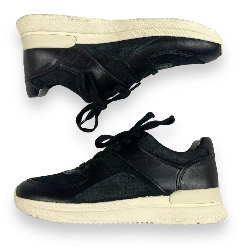 Everlane new out